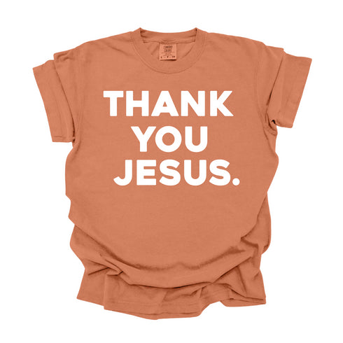 Thank You Jesus - Adult T-shirt/Comfort Colors